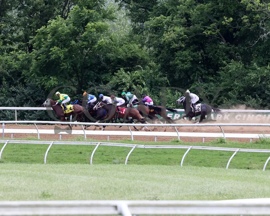 Buckeye Princess - 060724 Race 07 Btp Diana Stakes Start 01 Belterra Park