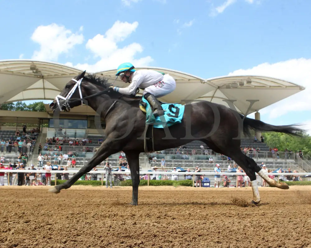 Buckeye Princess - 060724 Race 07 Btp Diana Stakes Under Rail 01 Belterra Park