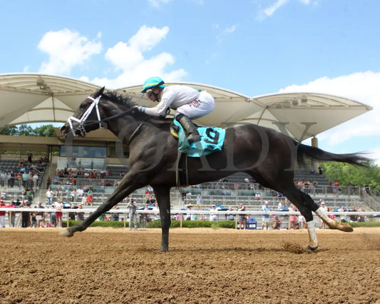 Buckeye Princess - 060724 Race 07 Btp Diana Stakes Under Rail 01 Belterra Park
