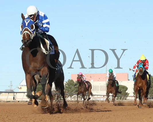 BULLY BOY - New Mexico Classic Juvenile Stakes - 11-24-25 - R08 - Zia Park - Under Rail - Coady Media - Kurtis Coady Photography