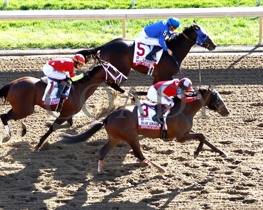 BURNHAM SQUARE - The Blue Grass - 040825 - Race 10 - KEE - Aerial Finish 01 Keeneland