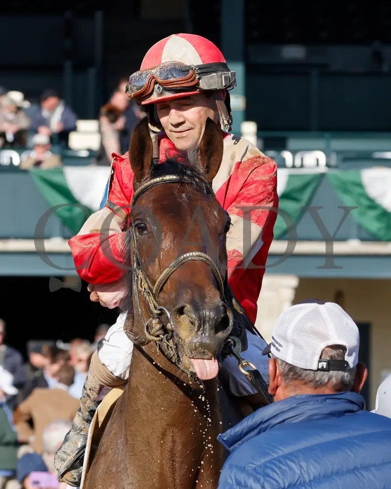 BURNHAM SQUARE - The Blue Grass - 040825 - Race 10 - KEE - Come Back 07 Keeneland