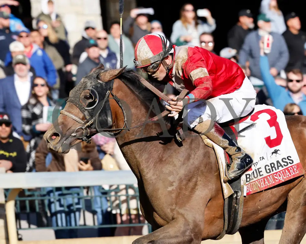 BURNHAM SQUARE - The Blue Grass - 040825 - Race 10 - KEE - Inside Finish 01 Keeneland