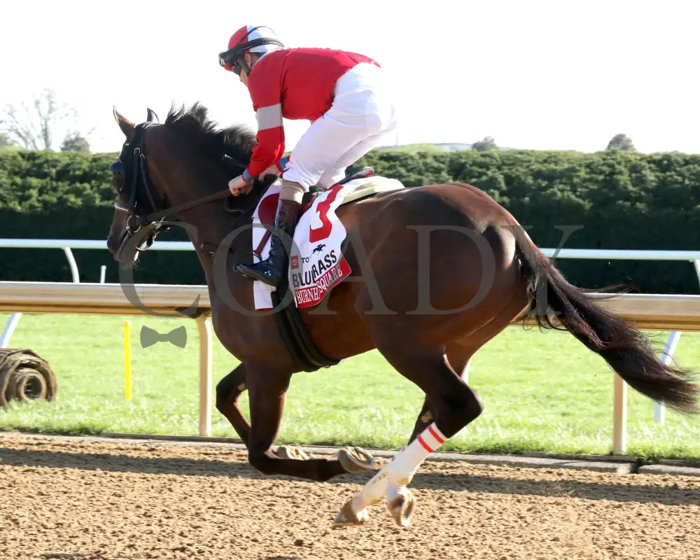 BURNHAM SQUARE - The Blue Grass - 040825 - Race 10 - KEE - Post Parade 02 Keeneland
