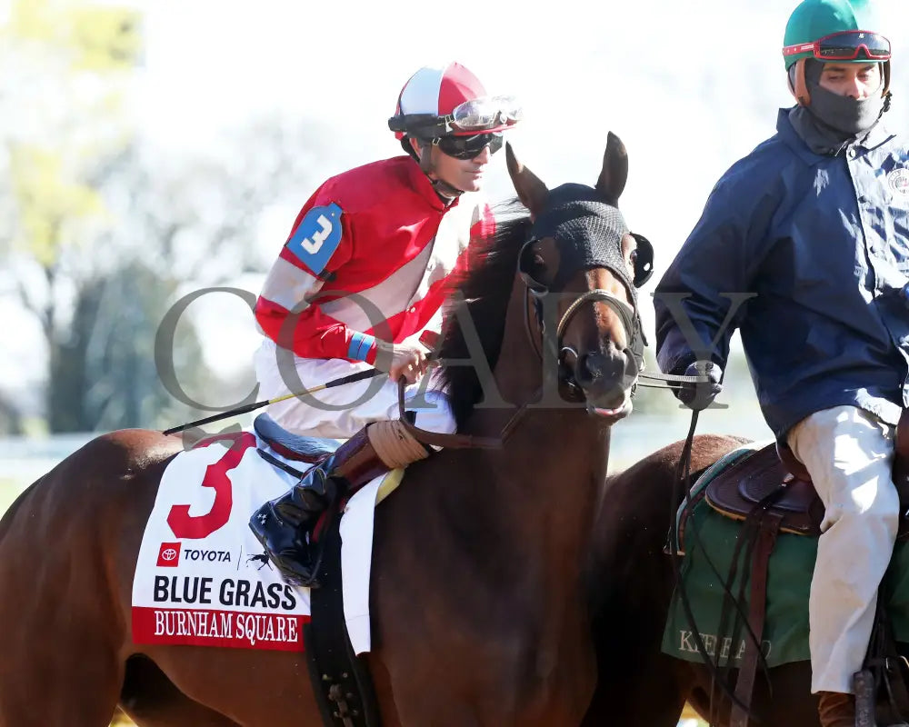 BURNHAM SQUARE - The Blue Grass - 040825 - Race 10 - KEE - Post Parade 03 Keeneland