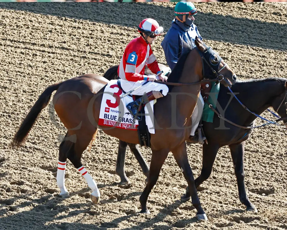 BURNHAM SQUARE - The Blue Grass - 040825 - Race 10 - KEE - Post Parade 04 Keeneland