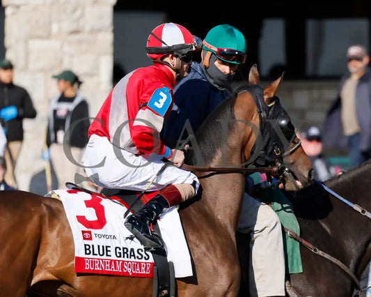 BURNHAM SQUARE - The Blue Grass - 040825 - Race 10 - KEE - Post Parade 05 Keeneland