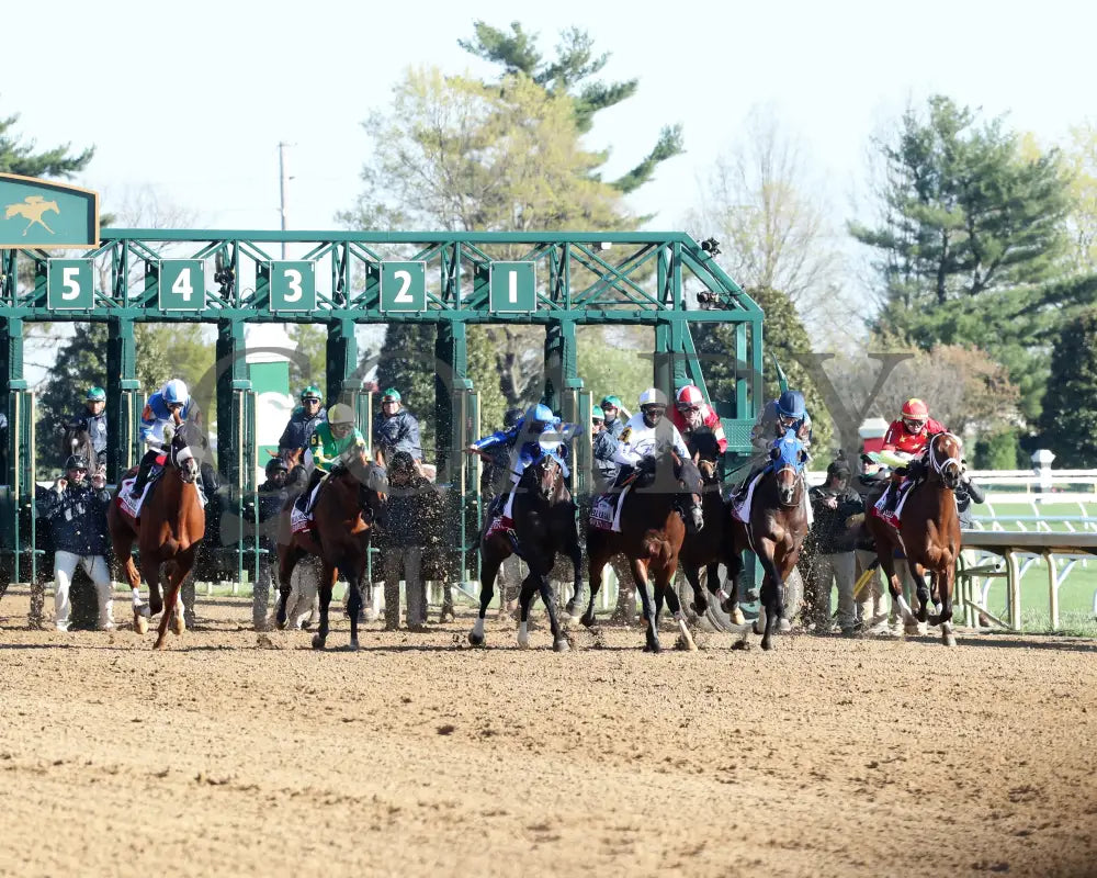 BURNHAM SQUARE - The Blue Grass - 040825 - Race 10 - KEE - Start 02 Keeneland
