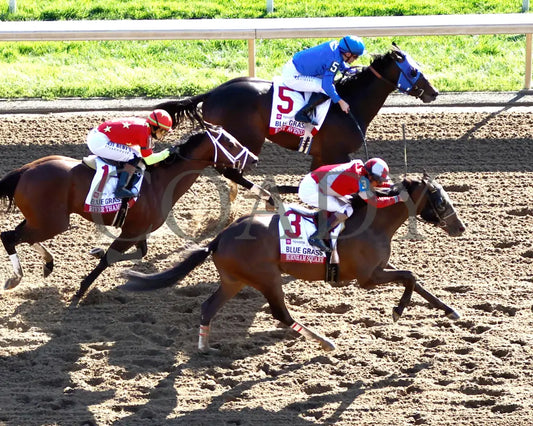 BURNHAM SQUARE - The Toyota Blue Grass G1 - 04-08-25 - KEE - Aerial Finish 01 Keeneland