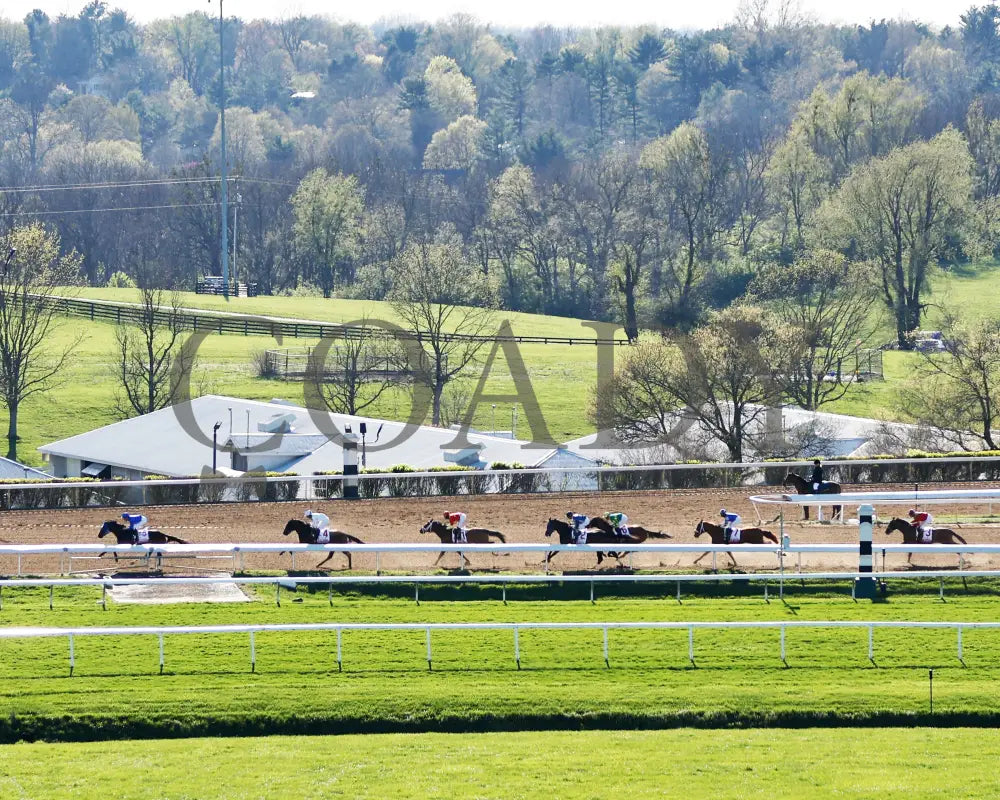 BURNHAM SQUARE - The Toyota Blue Grass G1 - 04-08-25 - KEE - Backstretch 01 Keeneland