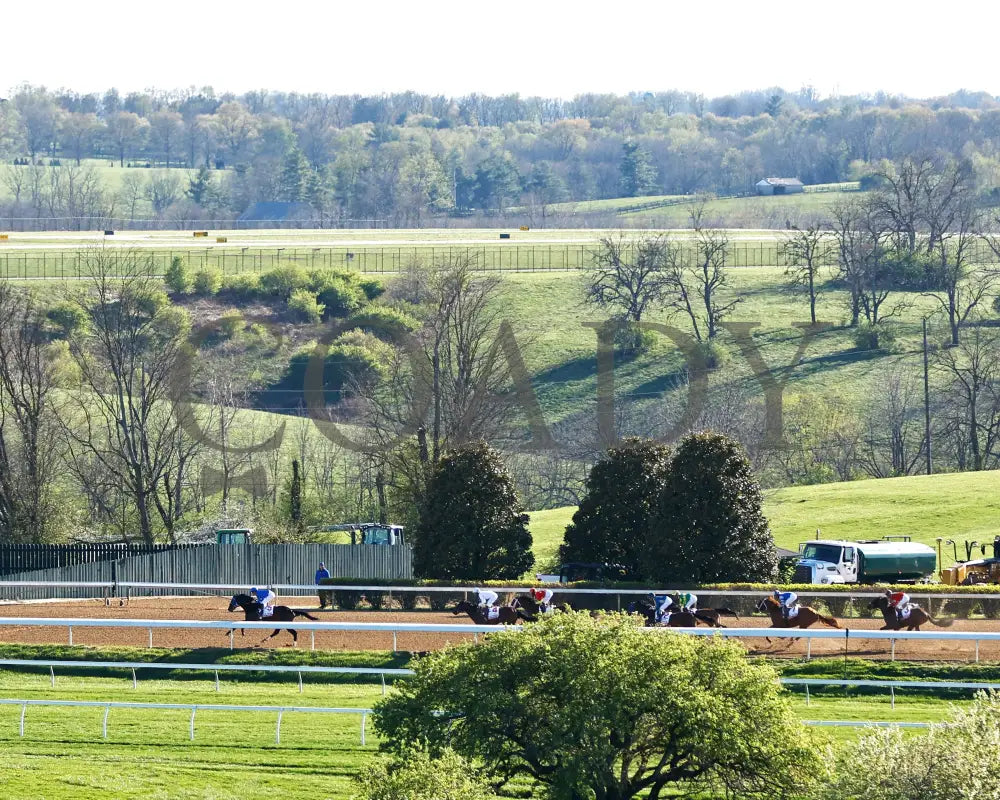 BURNHAM SQUARE - The Toyota Blue Grass G1 - 04-08-25 - KEE - Backstretch 02 Keeneland