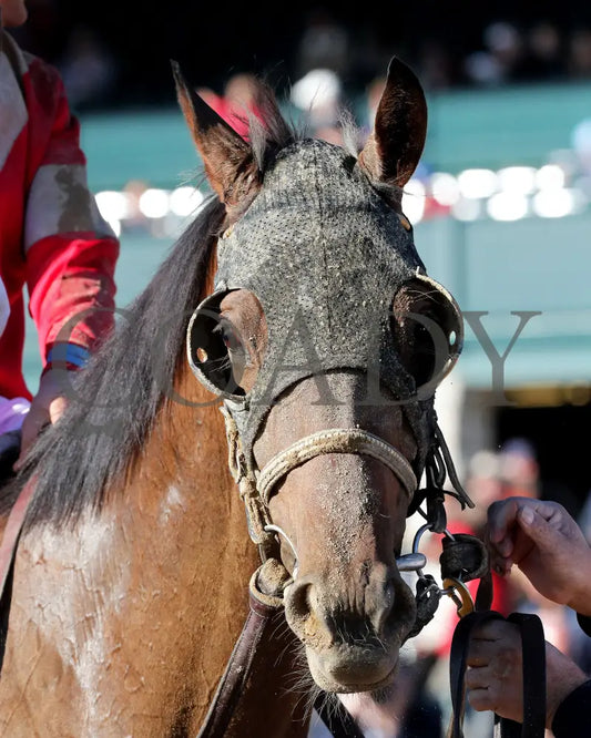 BURNHAM SQUARE - The Toyota Blue Grass G1 - 04-08-25 - KEE - Come Back 03 Keeneland