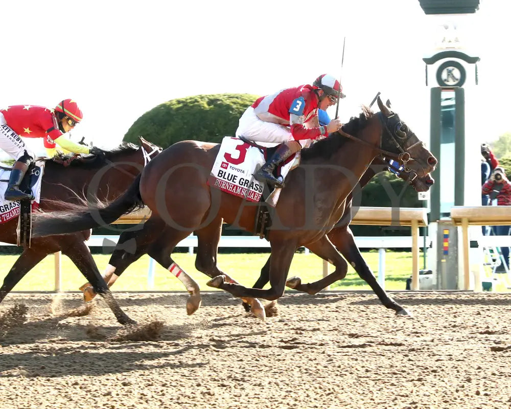 BURNHAM SQUARE - The Toyota Blue Grass G1 - 04-08-25 - KEE - Finish 01 Keeneland