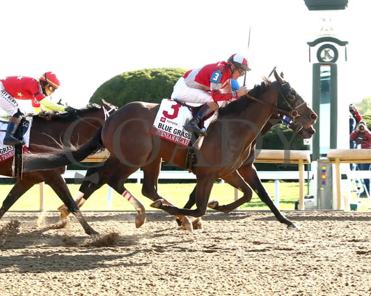 BURNHAM SQUARE - The Toyota Blue Grass G1 - 04-08-25 - KEE - Finish 01 Keeneland