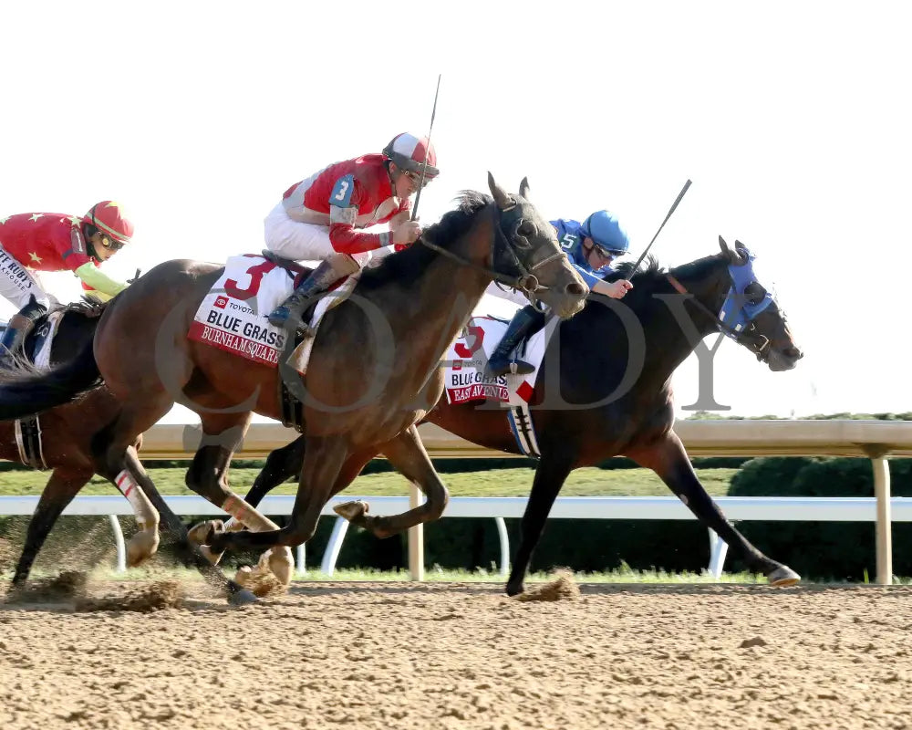 BURNHAM SQUARE - The Toyota Blue Grass G1 - 04-08-25 - KEE - Finish 04 Keeneland