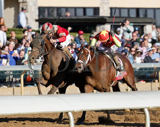 BURNHAM SQUARE - The Toyota Blue Grass G1 - 04-08-25 - KEE - Inside Finish 05 Keeneland