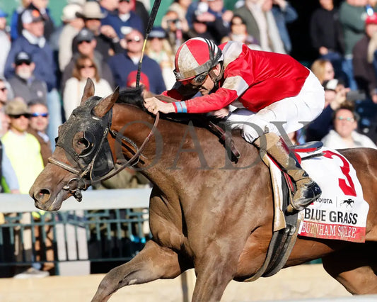 BURNHAM SQUARE  - The Toyota Blue Grass G1 - 04-08-25 - KEE - Inside Finish 04 - Coady Media - Kurtis Coady Photography