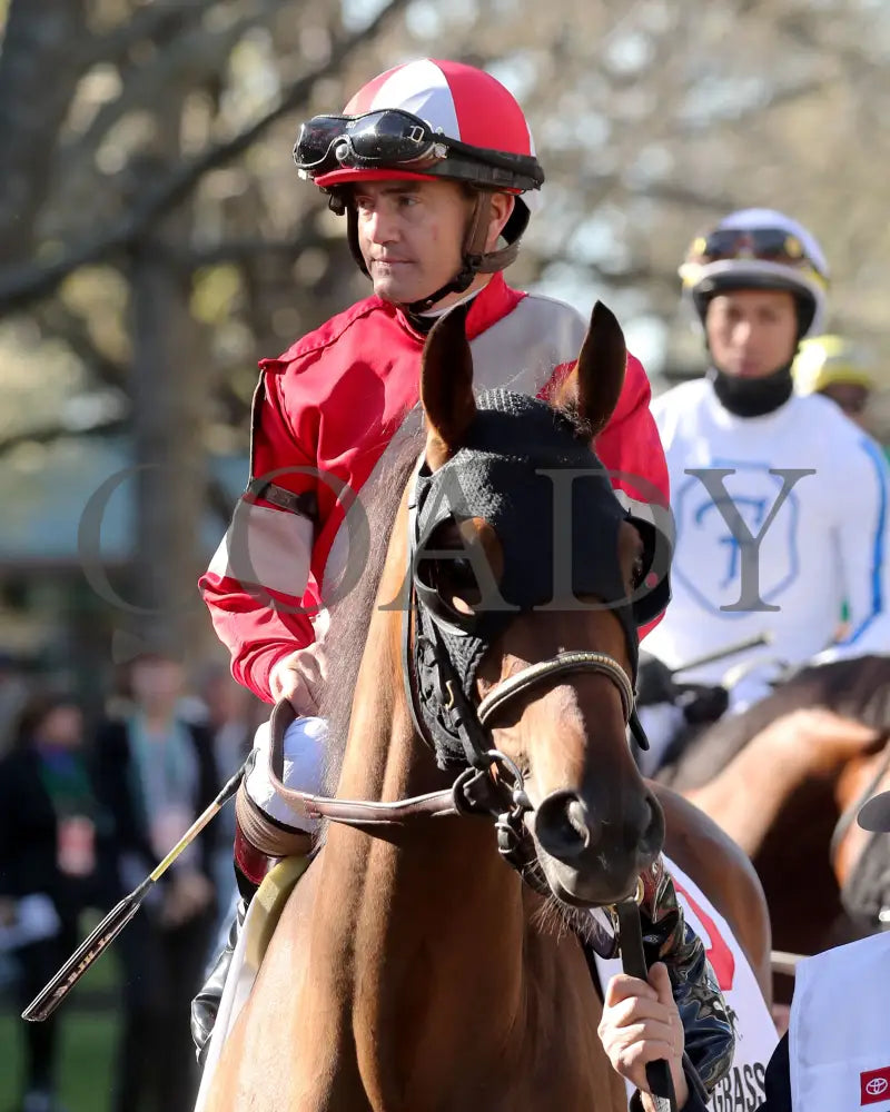 BURNHAM SQUARE  - The Toyota Blue Grass G1 - 04-08-25 - KEE - Paddock 04 - Coady Media - Kurtis Coady Photography