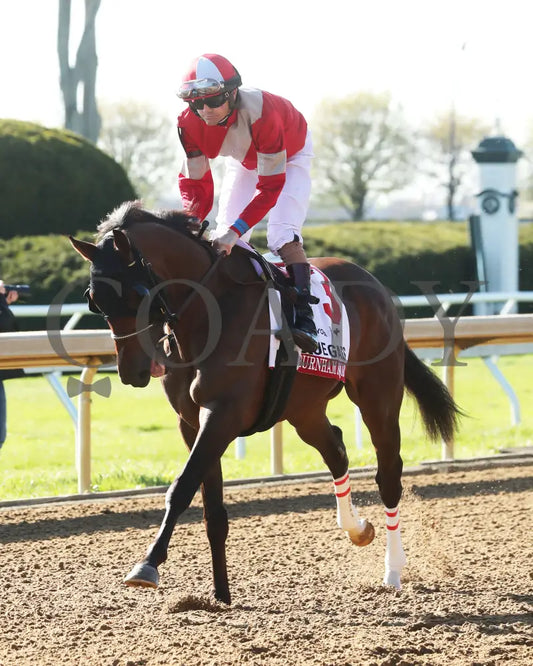 BURNHAM SQUARE - The Toyota Blue Grass G1 - 04-08-25 - KEE - Post Parade 01 Keeneland