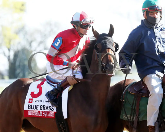 BURNHAM SQUARE - The Toyota Blue Grass G1 - 04-08-25 - KEE - Post Parade 03 Keeneland