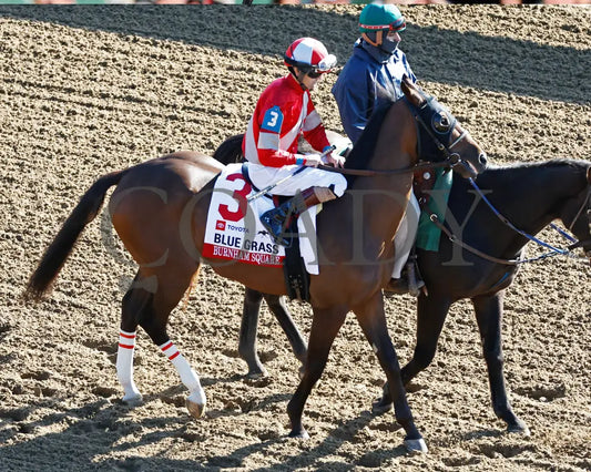 BURNHAM SQUARE - The Toyota Blue Grass G1 - 04-08-25 - KEE - Post Parade 04 Keeneland