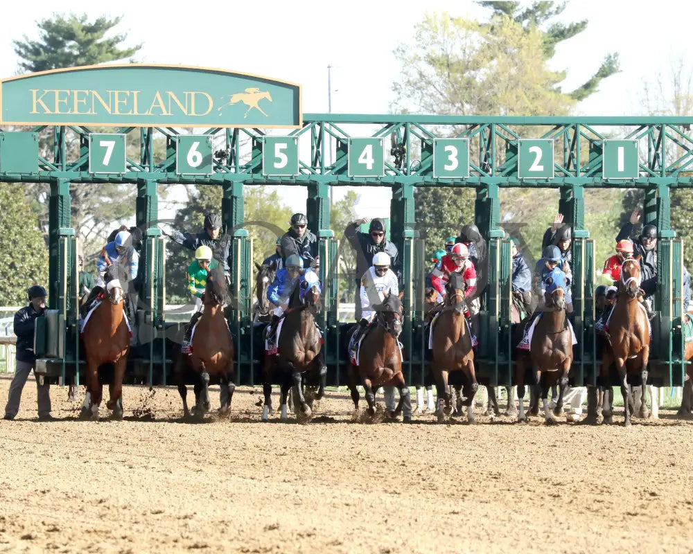 BURNHAM SQUARE - The Toyota Blue Grass G1 - 04-08-25 - KEE - Start 01 Keeneland
