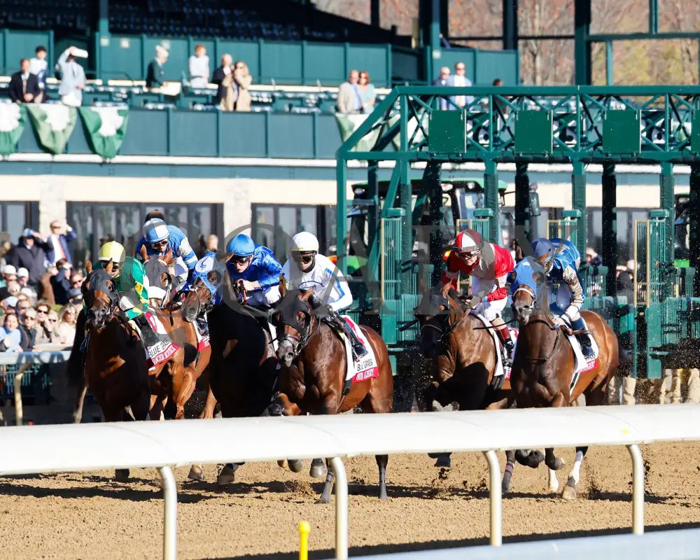 BURNHAM SQUARE - The Toyota Blue Grass G1 - 04-08-25 - KEE - Start 03 Keeneland