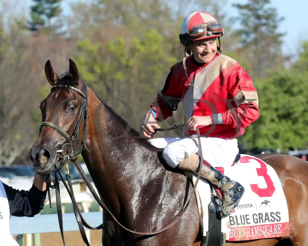 BURNHAM SQUARE - The Toyota Blue Grass G1 - 04-08-25 - KEE - Winners Circle 02 Keeneland