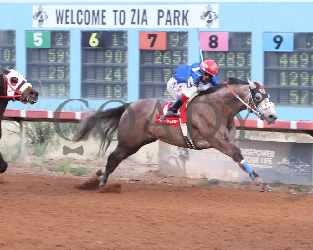 Bv Bridgette Cartel - New Mexico Classic Futurity 12-15-24 R12 Zia Park Finish 2