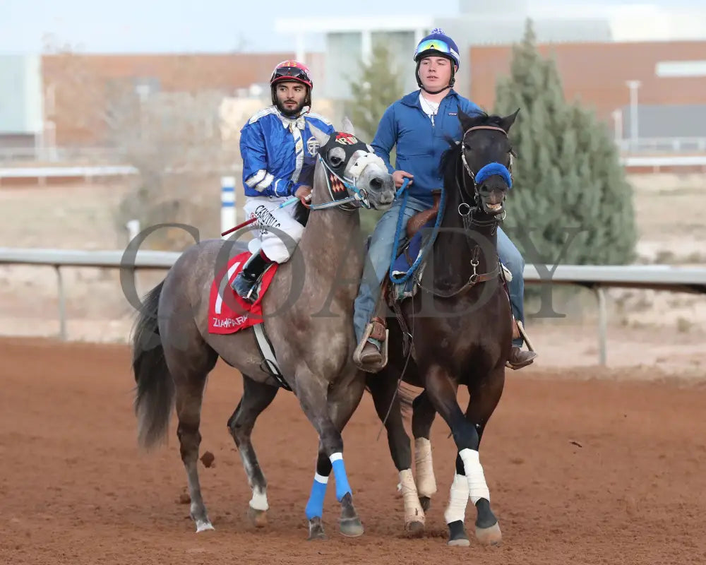 Bv Bridgette Cartel - New Mexico Classic Futurity 12-15-24 R12 Zia Park Post Parade