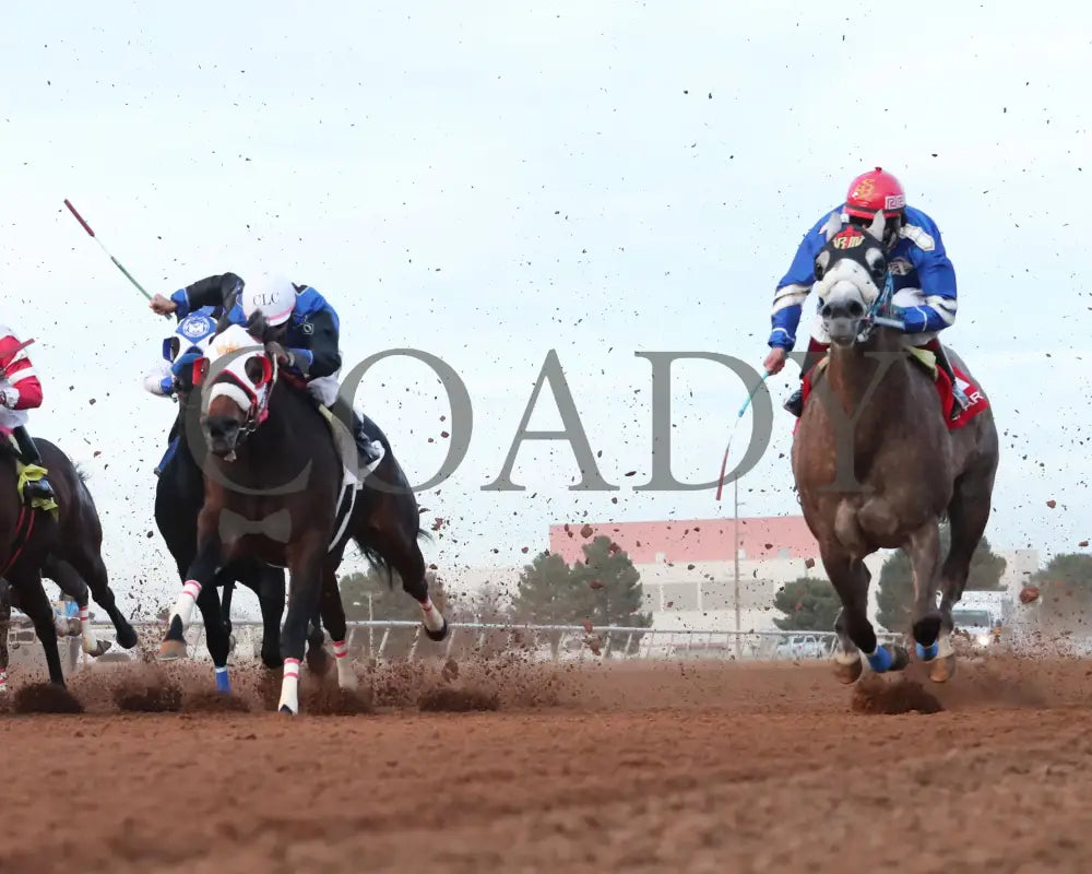 Bv Bridgette Cartel - New Mexico Classic Futurity 12-15-24 R12 Zia Park Under Rail