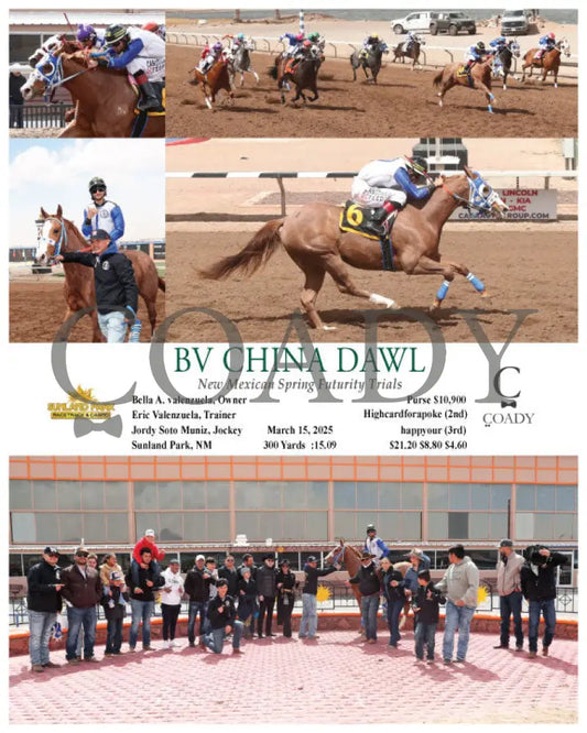 BV CHINA DAWL - New Mexican Spring Futurity Trials - 03-15-25 - R05 - SUN Sunland Park