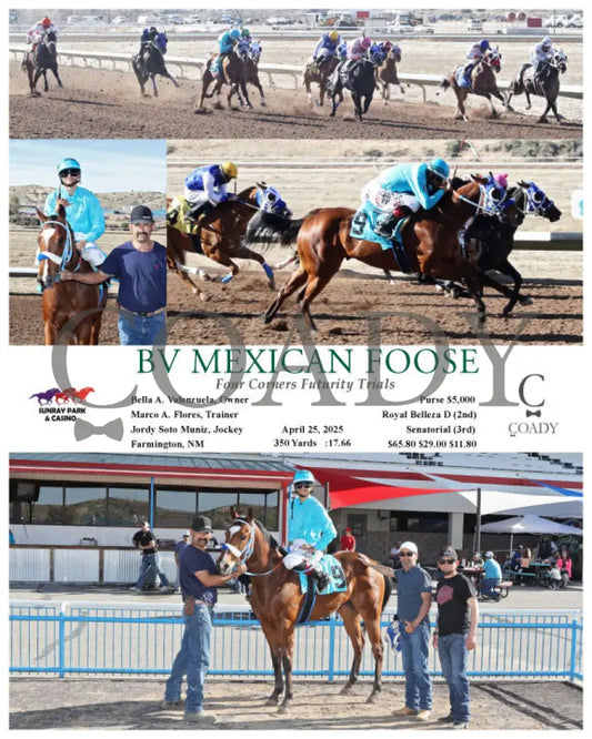 BV MEXICAN FOOSE - Four Corners Futurity Trials - 04-25-25 - R10 - SRP SunRay Park