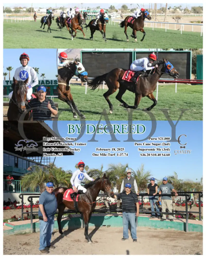 BY DECREED - 02-18-25 - R08 - TUP Turf Paradise