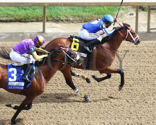 By My Standards - The Alysheba G2 17Th Running 09-04-20 R10 Cd Aerial Finish 01 Churchill Downs