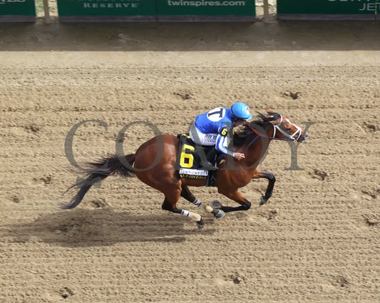 By My Standards - The Alysheba G2 17Th Running 09-04-20 R10 Cd Aerial Finish 02 Churchill Downs