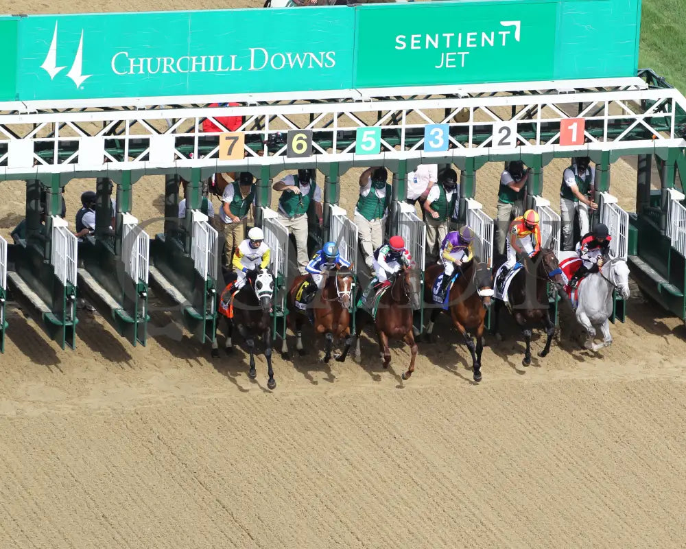 By My Standards - The Alysheba G2 17Th Running 09-04-20 R10 Cd Aerial Start 02 Churchill Downs