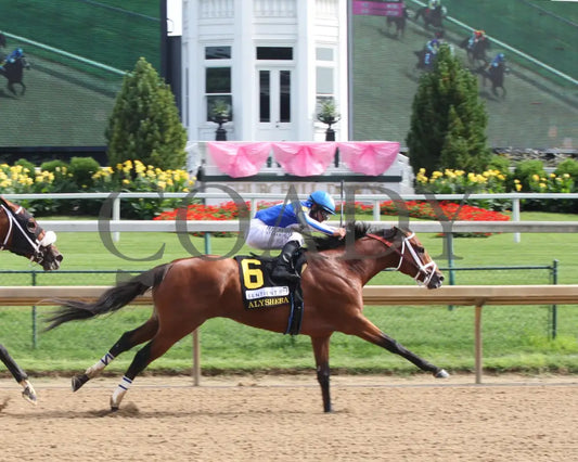 By My Standards - The Alysheba G2 17Th Running 09-04-20 R10 Cd Bagoda Finish 01 Churchill Downs