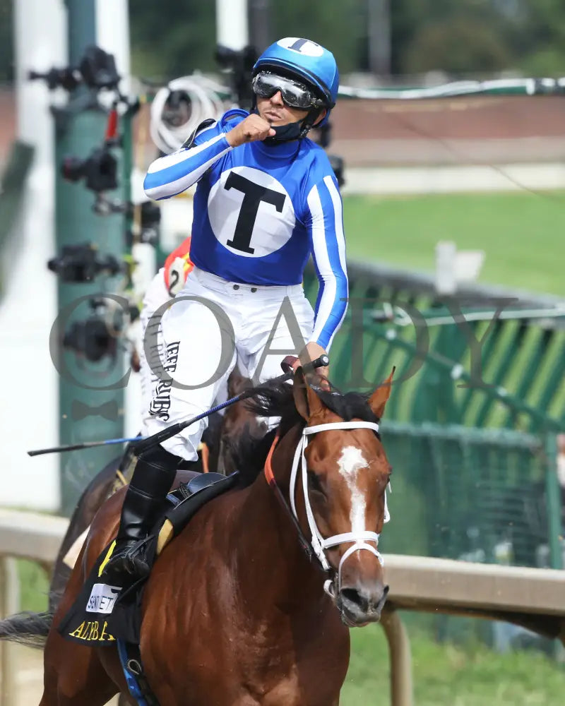 By My Standards - The Alysheba G2 17Th Running 09-04-20 R10 Cd Celebration 02 Churchill Downs