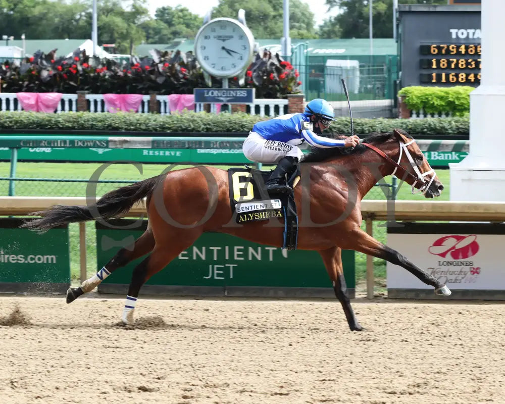By My Standards - The Alysheba G2 17Th Running 09-04-20 R10 Cd Finish 01 Churchill Downs
