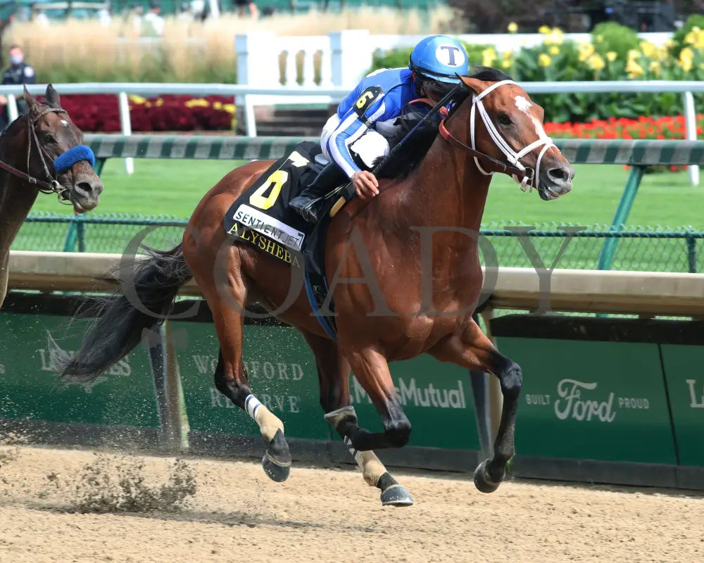 By My Standards - The Alysheba G2 17Th Running 09-04-20 R10 Cd Finish 02 Churchill Downs