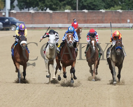 By My Standards - The Alysheba G2 17Th Running 09-04-20 R10 Cd Head On 01 Churchill Downs