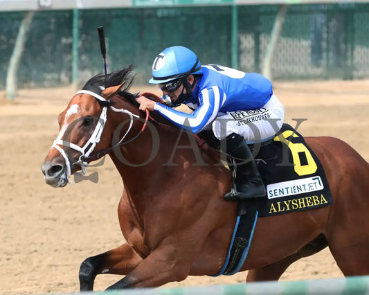 By My Standards - The Alysheba G2 17Th Running 09-04-20 R10 Cd Inside Finish 03 Churchill Downs