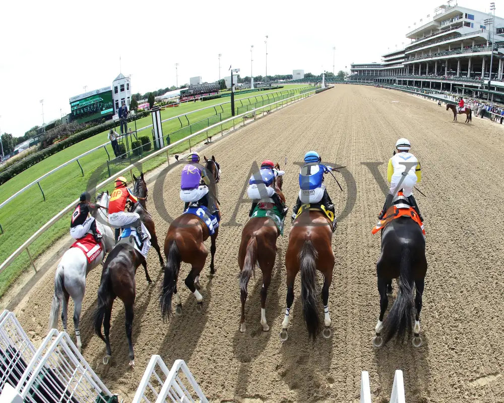 By My Standards - The Alysheba G2 17Th Running 09-04-20 R10 Cd Remote Gate Start 01 Churchill Downs