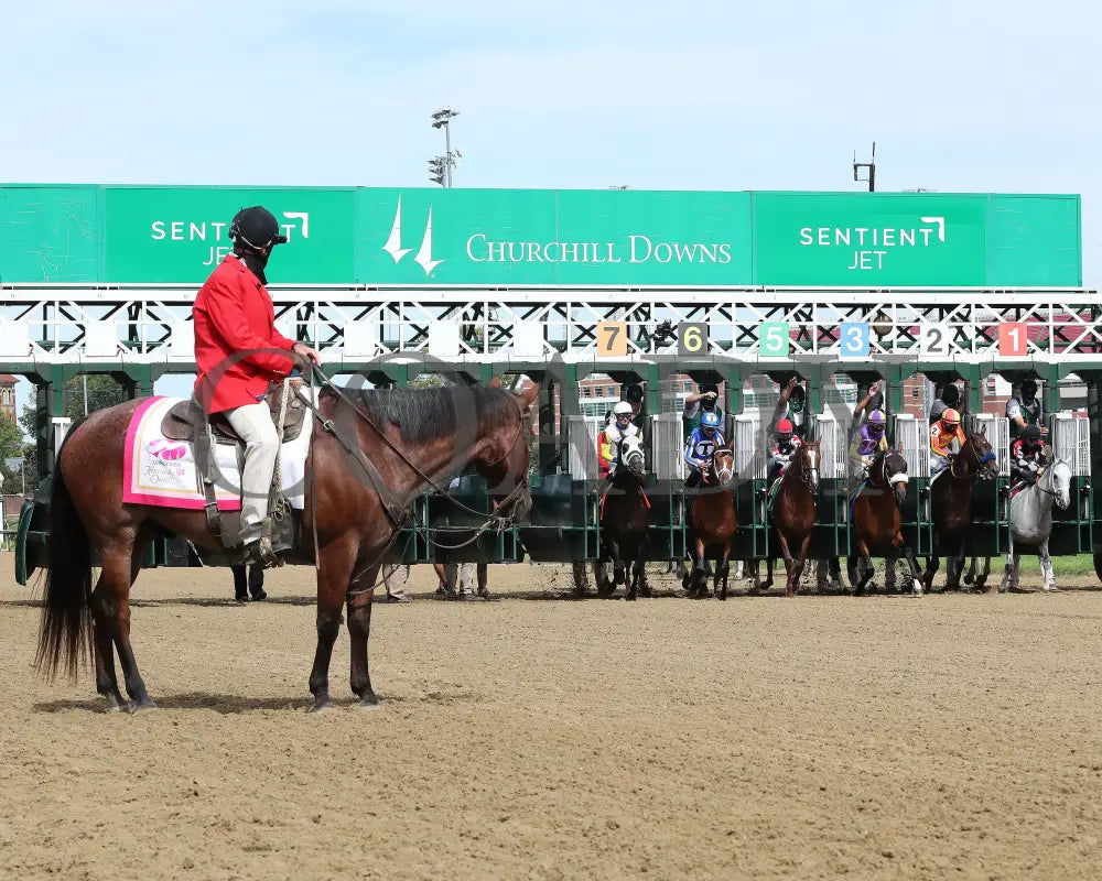 By My Standards - The Alysheba G2 17Th Running 09-04-20 R10 Cd Start 01 Churchill Downs