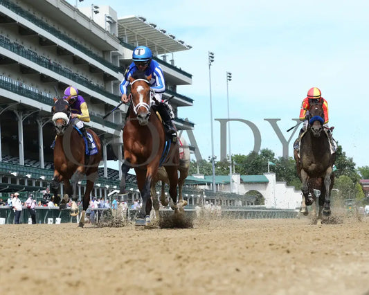 By My Standards - The Alysheba G2 17Th Running 09-04-20 R10 Cd Under Rail 04 Churchill Downs