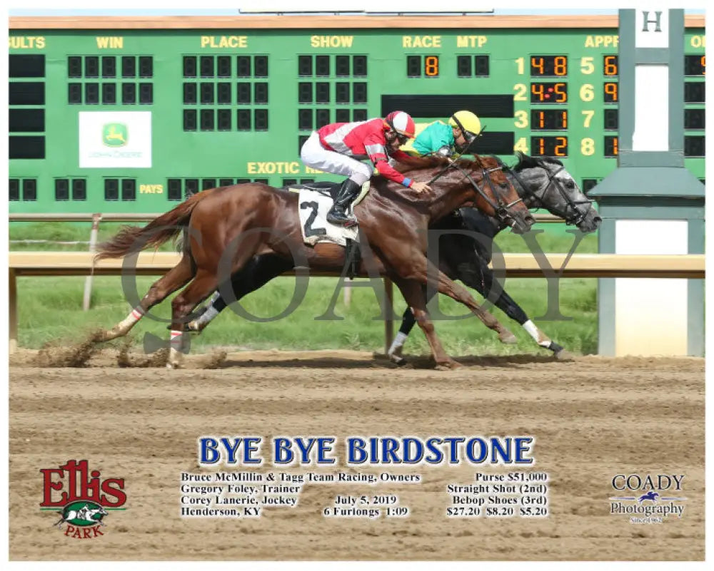 Bye Birdstone - 07-05-19 R08 Elp Action Ellis Park