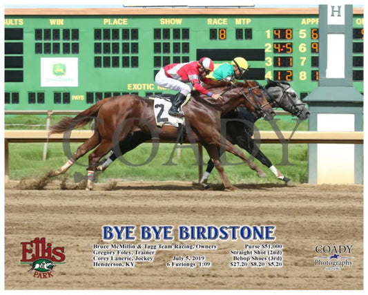 Bye Birdstone - 07-05-19 R08 Elp Action Ellis Park