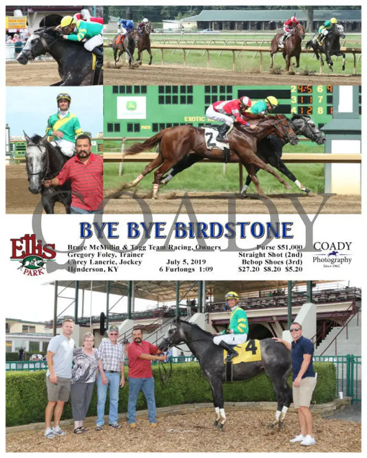 Bye Birdstone - 07-05-19 R08 Elp Ellis Park