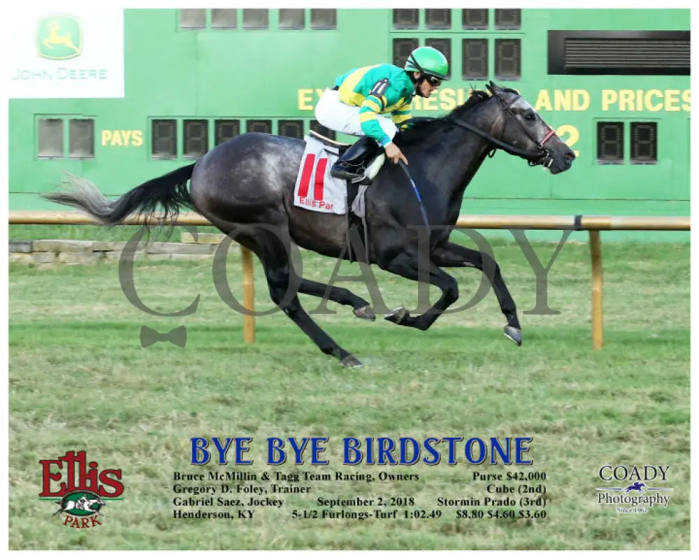 Bye Birdstone - 090218 Race 11 Elp Action Ellis Park